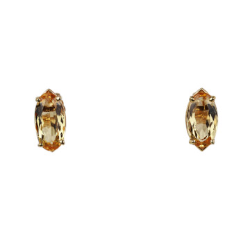 Featured image of this Women’s 14k Yellow Gold Precious Topaz Stud Earrings