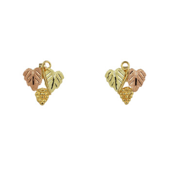 Featured image of this Women’s 14k Black Hills Gold Stud Earrings