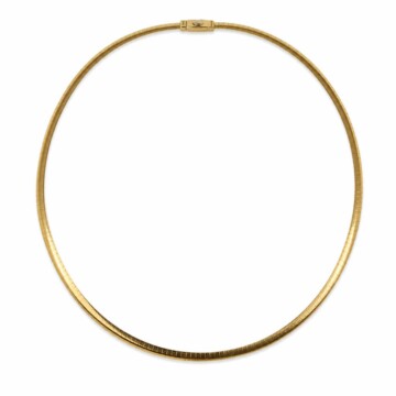 Featured image of this Women’s 14k Yellow & White Gold Omega Chain Necklace