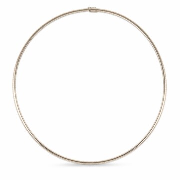 Featured image of this Women’s 14k White Gold Omega Chain Necklace