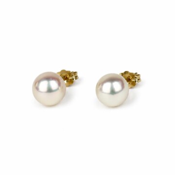 Featured image of this Women’s 14k Yellow Gold 8mm Stud Earrings with Cultured Pearl