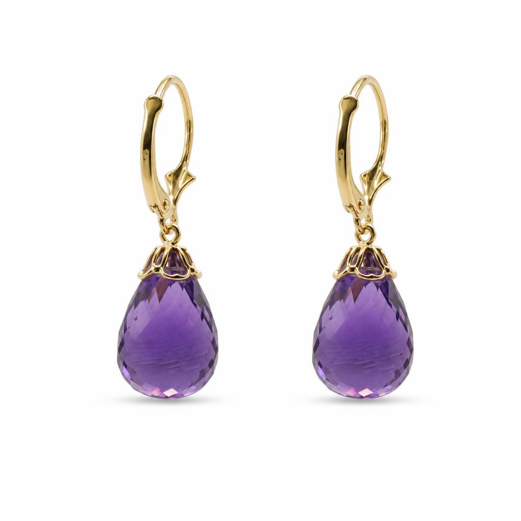 Gallery image of this Women’s 14k Yellow Gold Leverback Dangle Earrings with Amethyst