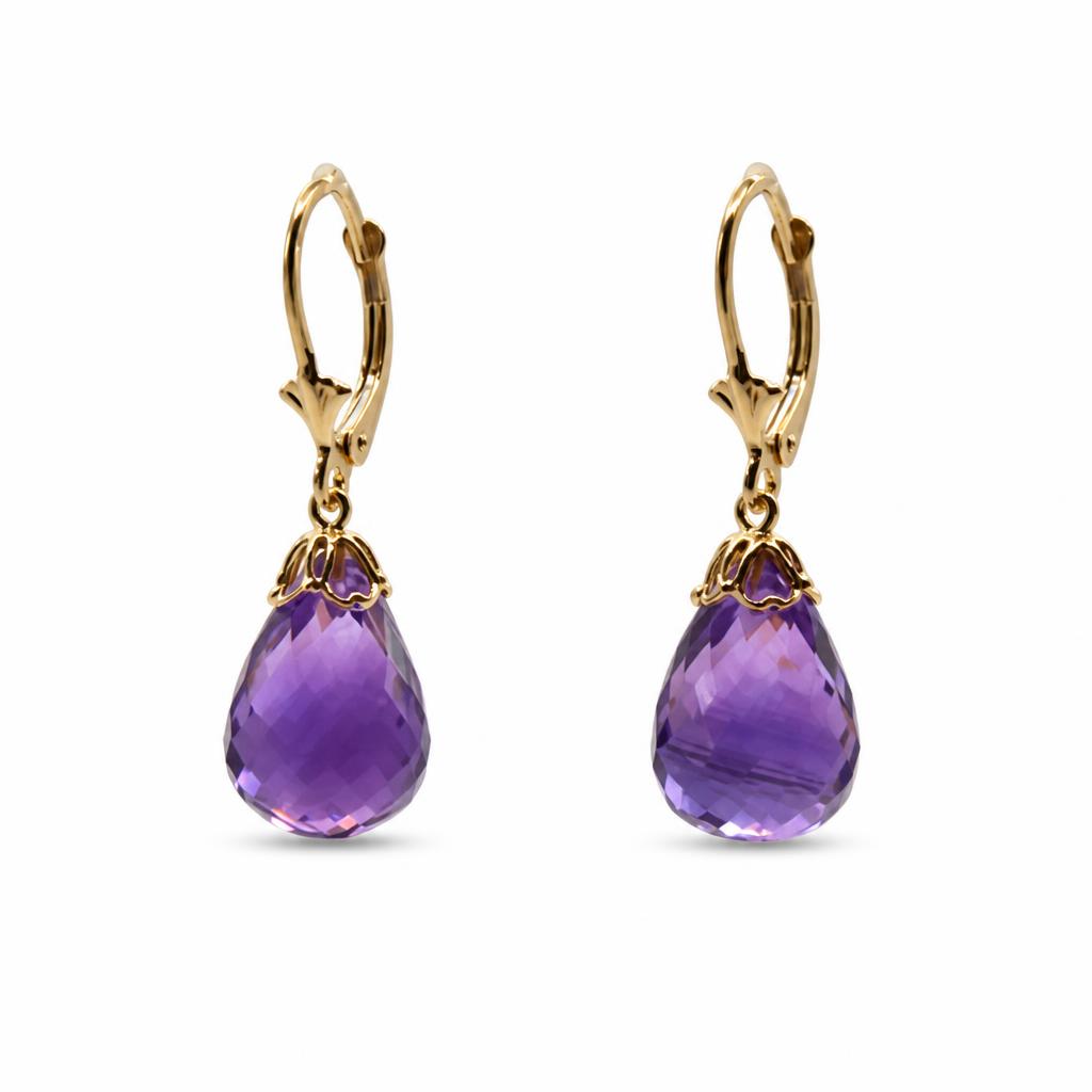 Featured image of this Women’s 14k Yellow Gold Leverback Dangle Earrings with Amethyst
