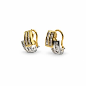 Featured image of this Women’s 14k Yellow & White Gold Drop Earrings with Diamond