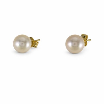 Featured image of this Women’s 14k Yellow Gold 6mm Stud Earrings with Cultured Pearl